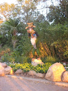 Wednesday, January 16, 2013 (wdw florida walt disney world epcot world showcase international flower and garden festival lion king rafiki simba cub topiary topiaries)